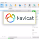 Navicat 판매, Navicat 총판, Navicat 판매처, Navicat 한국 총판, 데이터베이스 관리 프로그램